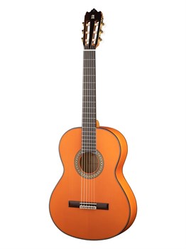 8.209 Flamenco Conservatory 4F Классическая гитара, защитная накладка, Alhambra 8.209 - фото 12620