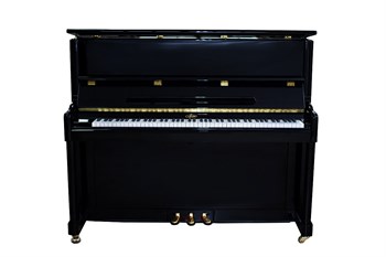 Акустическое пианино «Мелодия», модель 120 Acoustic Tech под заказ 120 Acoustic Tech - фото 13042