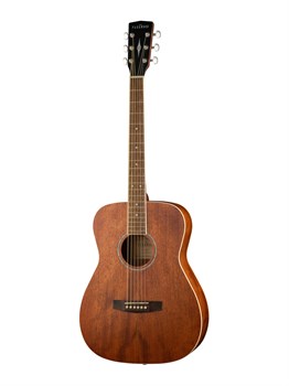 PF51M-WBAG-OP Акустическая гитара с чехлом, Parkwood PF51M-WBAG-OP - фото 13982