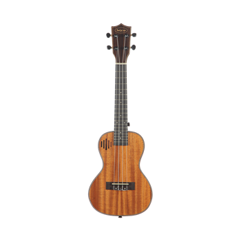 SQOE SQ-UK-24J комплект укулеле концерт и аксессуары SQ-UK-24J - фото 14760
