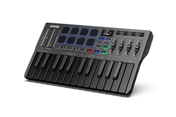 Donner DMK-25 Pro MIDI-контроллер Donner DMK-25 Pro - фото 16415