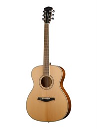P620-WCASE-NAT Акустическая гитара, с футляром, Parkwood P620-WCASE-NAT