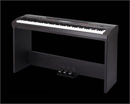 SP4200+stand Slim Piano Цифровое пианино со стойкой (2 коробки), Medeli SP4200+stand