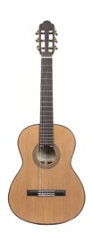 Torres-650-MH Классическая гитара, Martinez Torres-650-MH