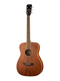 PF51M-WBAG-OP Акустическая гитара с чехлом, Parkwood PF51M-WBAG-OP