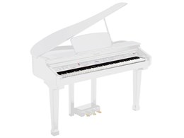 Grand-120-WHITE Цифровой рояль, с автоаккомпанементом, белый (2 коробки), Orla Grand-120-WHITE