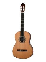 N1014 SM20 Regun Классическая гитара Hora N1014
