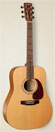 028962 Woodland Cedar QIT Электроакустическая гитара, Simon & Patrick 028962