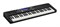 CT-S500 Синтезатор 61 клавиша, черный, Casio CT-S500 - фото 12170