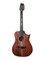 LUXE-NYLON-WCASE-BR Frank Gambale Luxe Series Классическая гитара со звукоснимателем, с чехлом, Cort LUXE-NYLON-WCASE-BR - фото 12204