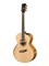 Cut-Craft-Limited-WCASE-N Limited Edition Электро-акустическая гитара, с футляром, Cort Cut-Craft-Limited-WCASE-N - фото 12442