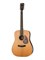 EARTH200F-ATV-SG-WBAG Earth Series Электро-акустическая гитара, цвет натуральный, чехол, Cort EARTH200F-ATV-SG-WBAG - фото 12454