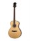 P630-WCASE-NAT Акустическая гитара, цвет натуральный, с футляром, Parkwood P630-WCASE-NAT - фото 12596