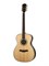 P820ADK-WCASE-NAT Акустическая гитара, цвет натуральный, с футляром, Parkwood P820ADK-WCASE-NAT - фото 12600