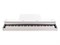 DP260-PVC-WH Цифровое пианино, белое, сатин, Medeli DP260-PVC-WH - фото 12688