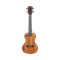 SQOE SQ-UK-24J комплект укулеле концерт и аксессуары SQ-UK-24J - фото 14760
