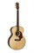 Maton EM100J Электроакустическая гитара EM100J - фото 16665
