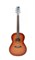 034871 Protege B18 Cedar Folk Tobacco Burst Presys Электроакустическая гитара, Norman 034871 - фото 18078