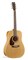 027347 Protege B18 Cedar Left Presys Электроакустическая гитара, леворукая, Norman 027347 - фото 18102
