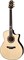 CRAFTER CB G-1000ce - Гитара электроакустическая шестиструнная CB G-1000CE - фото 18707